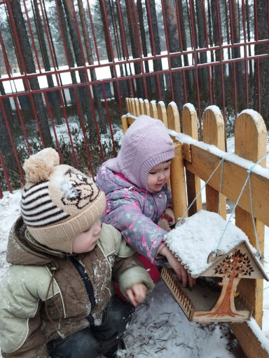 Акция "Покормите птиц зимой!" Акция "Покормите птиц зимой!".